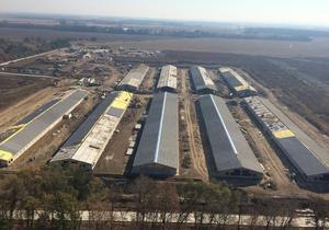 �� ���������������� ������������� ���� � ��������� �����������