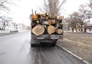 � ���������� ��������� ����ǻ, ������������ ����� 7-8 ����� �������� ���� ��� ����������