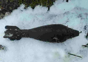 � ��������� ������� ������ ��������� ���������� ���������