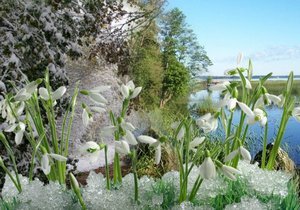 ����� ������ � ����� �� ������ ������