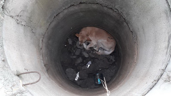 � ��������� ������ ������, ������� � �������