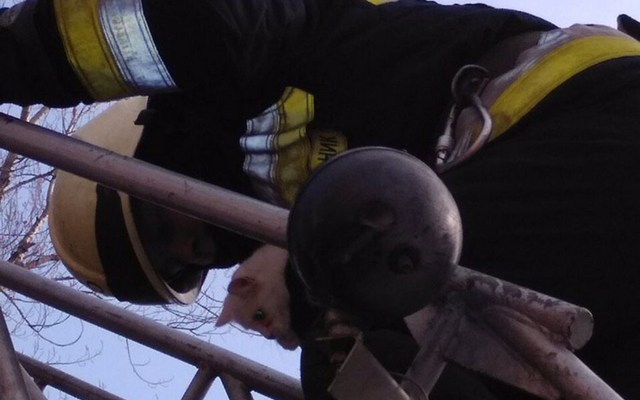 � ����� ����������� ���� ����� ���� � ������