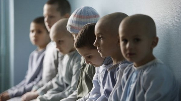 ���� �������, �������� �����: � 2018 ���� � ��������� �������� ������� �����