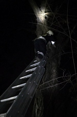 � ����� ������������ ����� ������, �� ���� �� ����� �� ���� ������� �������