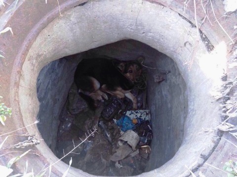 � ����� ������������ ��������� ������, ��� ����� � ��������� ��������