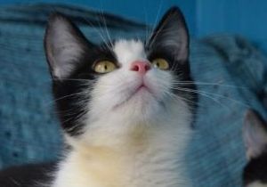 � ����� ����� �� ���� � ������ ��������� ����� ����