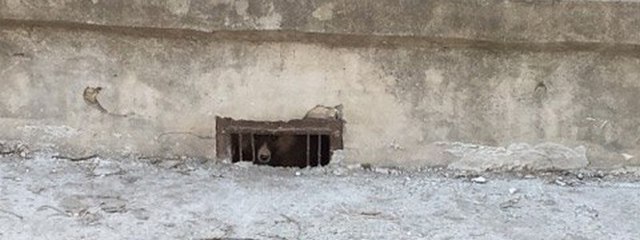 � ������ ��������� ������� ������������� �������� �� �������