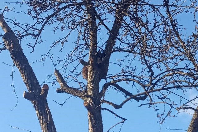 � ������ ��������� ����� ���� � ������