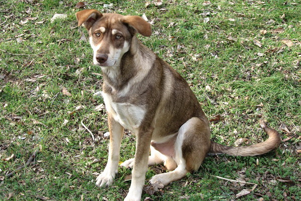 � ��������� �������� �����: ������� ������� ��������� ������������