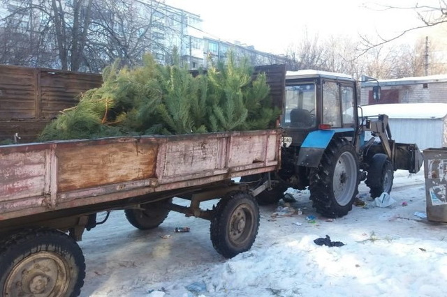 � ��������� ������ ������ �� ��������� � ���������� ����