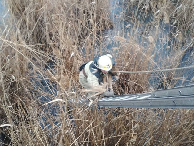 �� ���������������� ��������� ������� ������ �� ������� �������