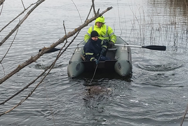 �� ���������������� �� ���� ��������� ��������� ���������� ���� ������� ��� ��������� �����