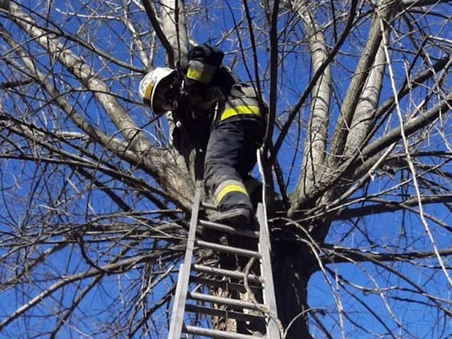 � ������ ��������� ������� ����� ��������� � ������