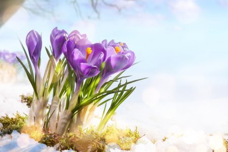 ��������� ����������� ����� ��������� �����