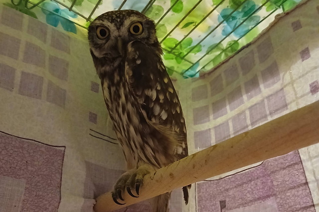 ��� � ������ ������� ����, �������� � ����