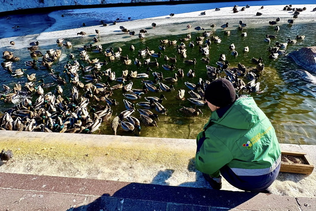 ��� ����� ����� ����� ��������� �������� ����