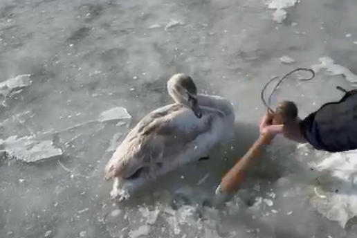 � ����� �������� ������, �� ������� �� ����� ������� ����