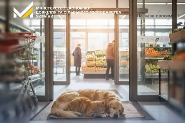 ������������ ����������, ��� ������� �������� ��������� �������� �� ����� ������� ��� ��������� ����