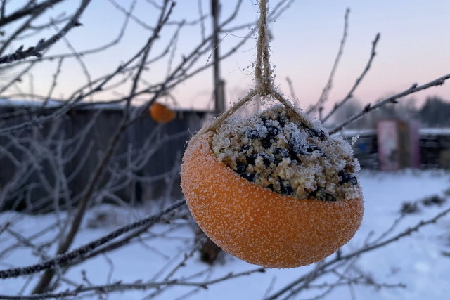 ������ ������ ������ ���������� �������� � �������� ������������ ������!