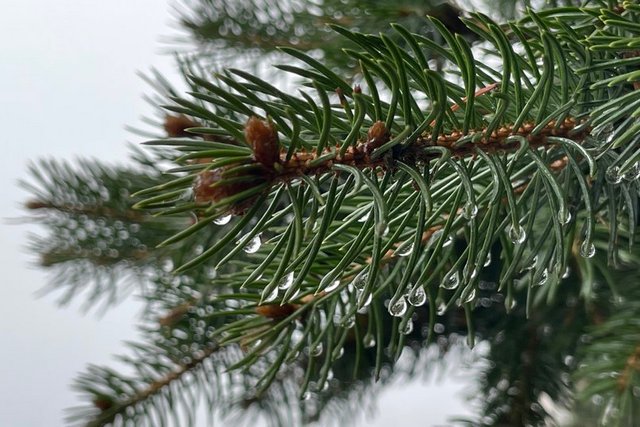 ������ ���������: ����� � ������ ������� ����������