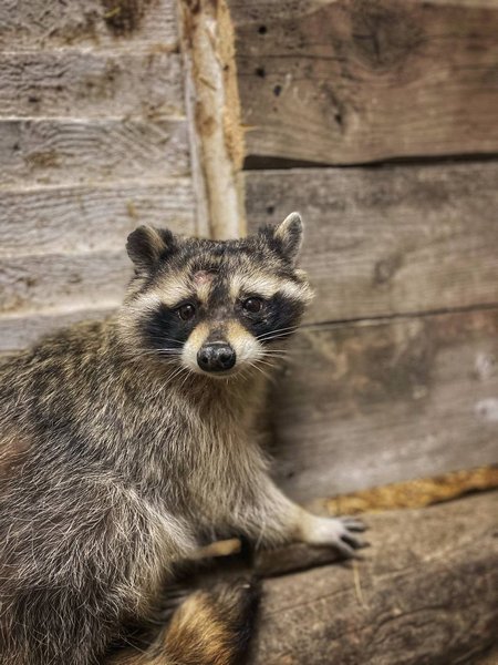 ���� ��� ��� ������ �����. ��� �������������� �� ���������� ������� �� ������ ����� ����� �� �������� ����������������