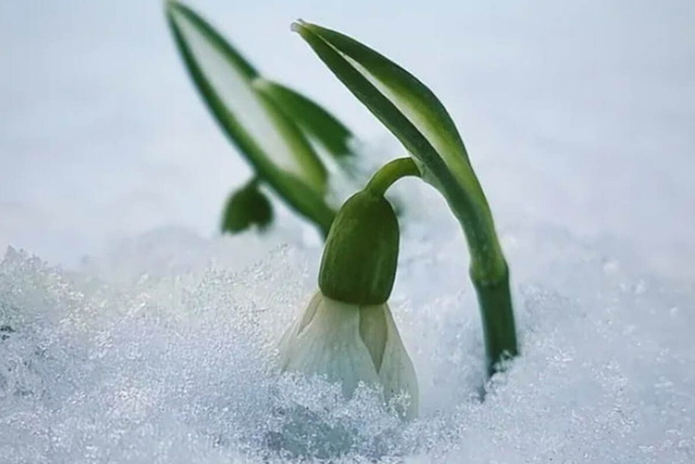 � ������, �������� �� ����� ������, �������� ������ �����������