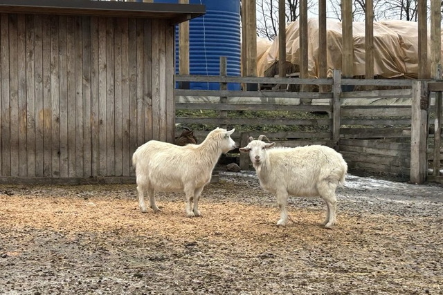 � ���'������ �� �������� �������� ������ ���������� ������� ��