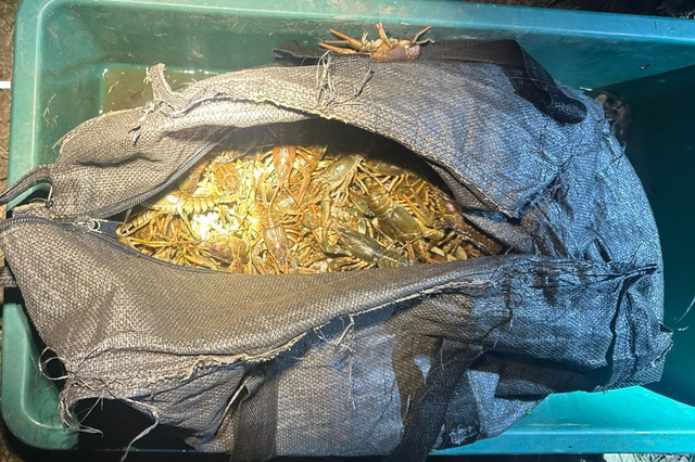  ������������� �� ����������: ����� ����������� �������� 2,8 ��� ���