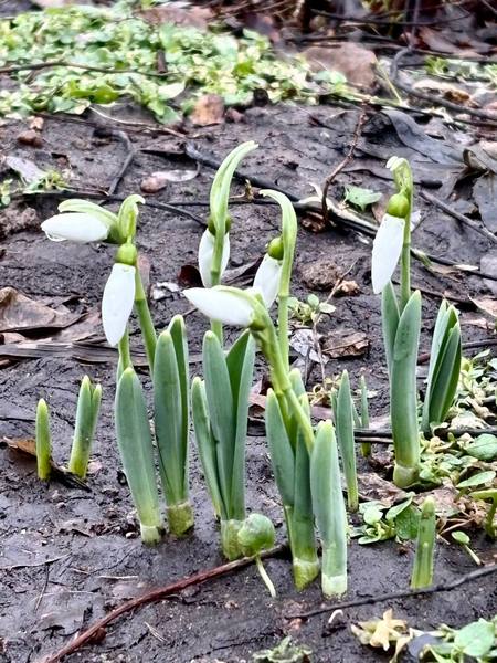 ����� ��������� ����� ��� �������� �� �������������� �����