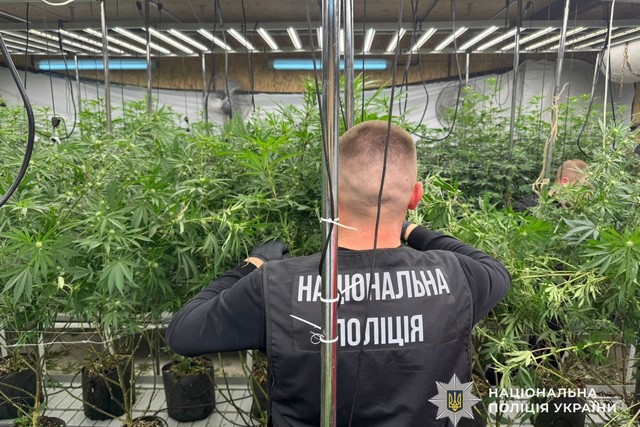 � ������ ������� ���������� ���������� ����������������, � ������������ ��������� ���������