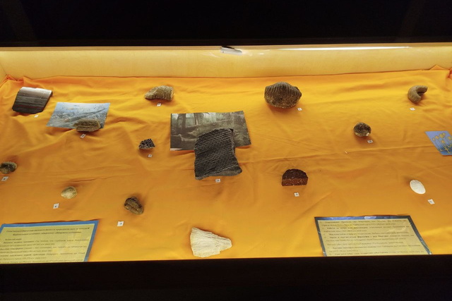 � ���������� ����� ������ �������� ��������� ���������