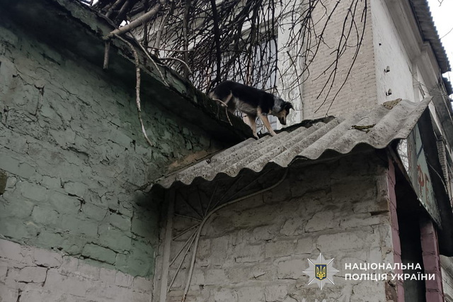 � ��������� ����������� ������ ������� � ����� � ����� ������������ ������