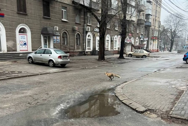 ������� ������ ������ ������� ���� ������