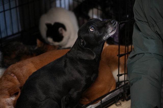 ��� ���� �� �����, �� ������� ��� �����. ������ ���������� ���� �� ��� ������� ��