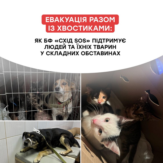 Из прифронтовых районов Днепропетровщины жителей эвакуируют вместе с домашними животными