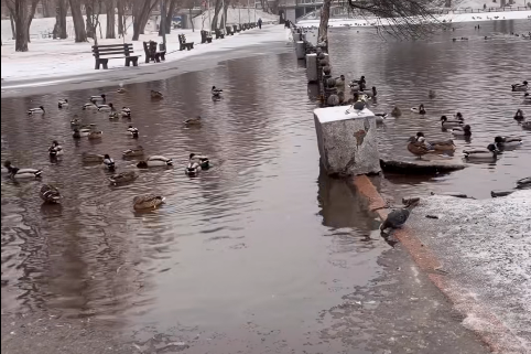 � ����� ����� ����� ����� ����� �� �������