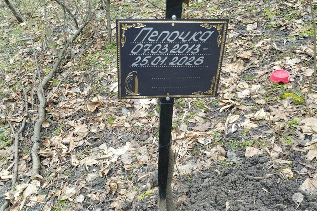 ���� ����� ������ ����������� ������ ���� �������� ������ � ������ �� �������?