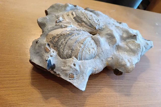 � ������������ ����� ������ �������� ���������� �������� ���