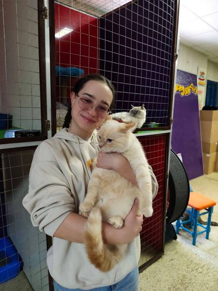 ������� ���������� ������� ������ ����������� � ������