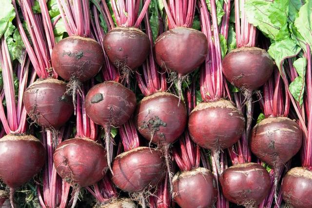 фото bigl.ua В Украине дешевеет популярный овощ: сколько уже стоит килограмм