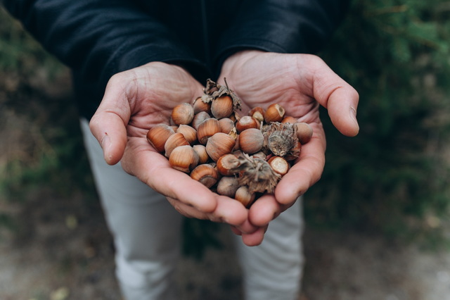 � ���� ����� ��������������� �� ���������������� ������� �������� ��� �������