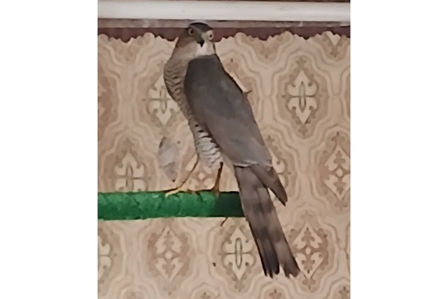 ������� �� ���� ����� ��������� � �����