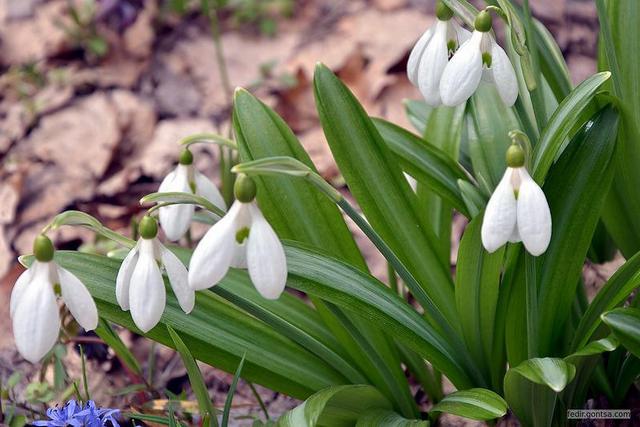 ����� �� ����� � 1 �����: ������� ��������� ��� ������