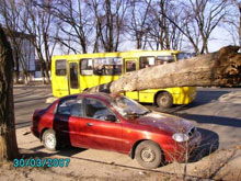 ������ ����� �� ����������