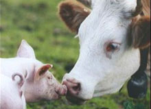 ������������ �������� ����� �� 73%, ������������ ������� � �� 45%