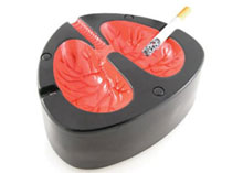 ������� �� ���� ���� �������� ������ �������� �������