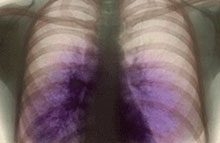 ���� �� ��� ��� �������, ��� �� �������� � ��� �������� ������