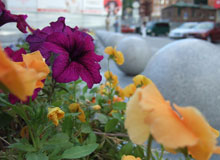 �������� ������