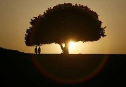 ������� ��������� ��������������� �����