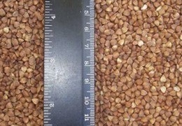 ������� ��������� ������ �� ������ �� ����